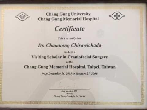 ใบอนุญาตผู้ประกอบวิชาชีพ สาขา ศัลยศาสตร์ตกแต่ง